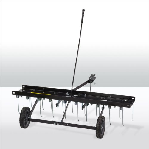 Entmooser / Rasenstriegel RS 100 - 6