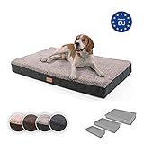 Die besten Hundebetten für große Hunde - Testsieger 2019