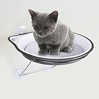 Yuanline Gota Cama Con Corta Felpa Cómodo, Con 4 Ventasa Fuerte, Diámetro 37cm, Altura 4,5cm, color de gris y negro
