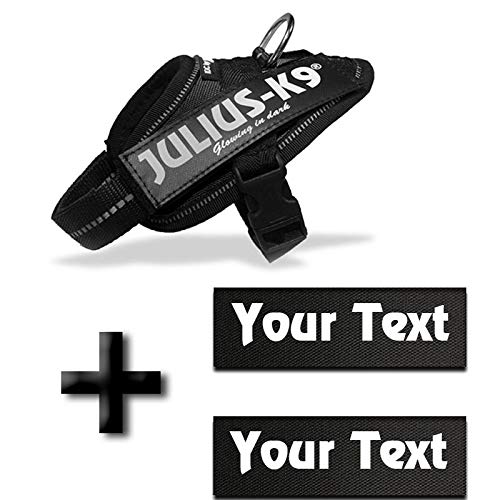 julius k9 personalised