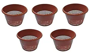 Orchid Flower Pot/Hydroponic Plastic Pot (8 inch, Brown) - Set of 5 Pieces