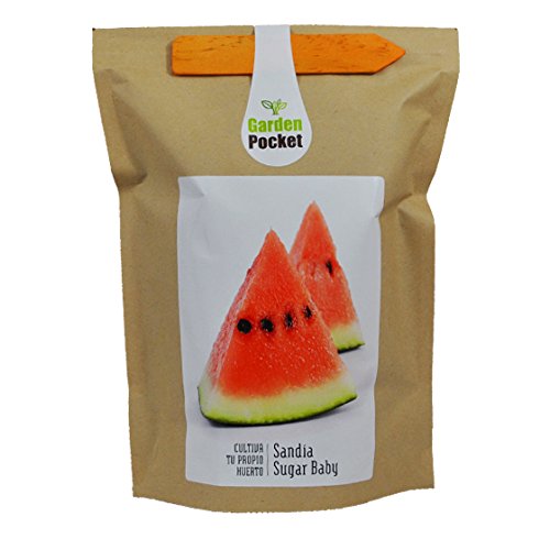 Kit de cultivo huerto urbano SANDIA SUGAR BABY