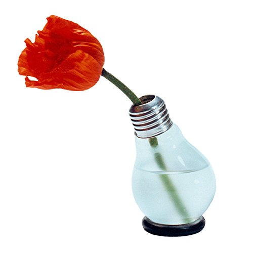 Blühbirne - Glühbirnenvase