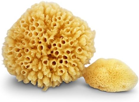 Contented Infant Natural Sea Sponges 2 Pack: For Newborn, Baby &amp; Toddler Bath; Gentle Hypoallergenic Baby Shower Spa Care Gift Set