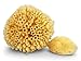 Price comparison product image Contented Infant Natural Sea Sponges 2 Pack: For Newborn, Baby & Toddler Bath; Gentle Hypoallergenic Baby Shower Spa Care Gift Set
