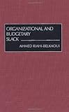 Image de Organizational and Budgetary Slack