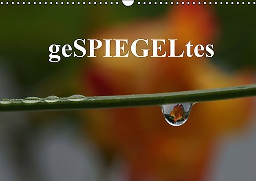 geSPIEGELtes (Wandkalender 2017 DIN A3 quer): Zwölf wunderschöne, natürliche Spiegelungen - fotografisch eingefangen und gekonnt in Szene gesetzt (Monatskalender, 14 Seiten ) (CALVENDO Natur)