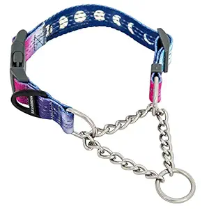 Leashboss Chain Martingale Patterned Reflective Dog Collar, Pattern Collection, Stainless Steel Chain, No Pull Training Collar (Medium-Large 16