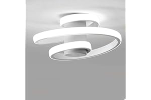 EIDISUNY Ceiling Light Modern Creative Spiral LED Ceiling Lamp Cool White Light White Black Aisle Lamp for Entrances Doorway Corridor Office Bedroom Kitchen Living Room 18W (White)