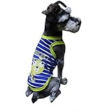 🍒 🍒 🍒 arnes perros pelotas para perros jaula para perros esquiladora perro cepillo perro pelo corto cepillo para perros salvavidas perro pajarita perro corta pelos perro impermeable perro abrigos para perros cuenco perro perro salchicha mochilas para perros mochilas perros casetas para perros grandes caseta perros madera cochecitos para perros juguetes perro hucha perro cortapelos perros correa coche perro correa doble perro comedero perro antivoracidad correa de perro