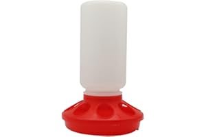 HOUTOKIT Poultry Feeder and Waterer 1L Chicken Feeder Drinker Food Dispenser Livestock Trough Water Tools for Chick Hen Duck Quail (Feeder)