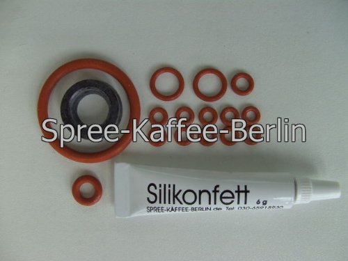 SKB Dichtung -16 Stück- für Saeco-Philips für Vienna, Magic, Royal, Incanto mit 1 Tube Fett