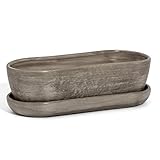 besonders geeignet für Bonsai oder Kakteen