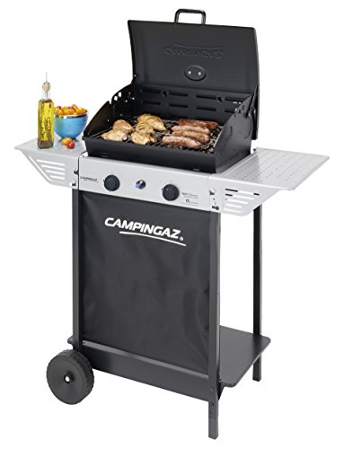 Xpert 100 l plus rocky barbacoa gas para piedra volcanica