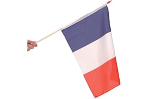France DRAPEAU 45X30cm avec Hampe