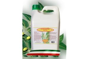 NOVAS ITALIA Olio di Neem Miscela Pronta all'Uso nella conveniente Tanica ricarica 4 Lt per spruzzini Pompa a pressione Pulisce da insetti melata e fumaggine Lucida nutre e protegge