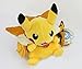 Sincerity Forever Pokemon Pikachu/Charizard Cuddly Toy Collection