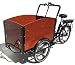 Produktbild E Lastenrad "E-Donkey" E-Lastenfahrrad Kindertransport Transport Elektro E-Bike Fahrrad