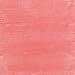 Beauty Without Cruelty Soft Natural Lipgloss Watermelon