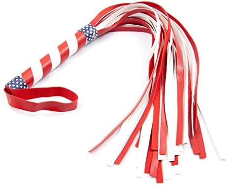 TT Fun Toys Passionate Whip Stripe Whip