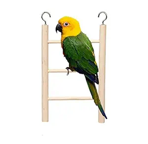 16cm Natural Wood Playful Climbing Cage Hanging 3 Steps Ladder Cum Toy for Birds