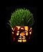 Produktbild m The Salon of The Tiny Buddha - Laughing Buddha Bronze : Set of 9 pcs.- Flower & Grass Planters (Stands, Pottery, Pot, Container) [Standard Ship by EMS: with Tracking & Insurance]