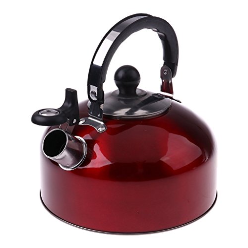 SGerste antirouille Bouilloire sifflante en Acier Inoxydable Café Thé Pot - 4L/5L extérieur d'eau et Camping Théière
