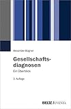 Gesellschaftsdiagnosen: Ein Überblick by 