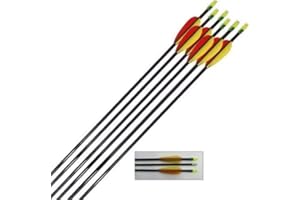 CARP CORNER 6 x 30" Fibreglass Archery Arrows Steel Target Point