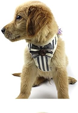 Alte Green Dog Leash Pet Suit Bow Tie Air Draft Rope Traction Dog Chain VIP Teddy Cat Chest Backpack(Red,Gray),Gray,XL