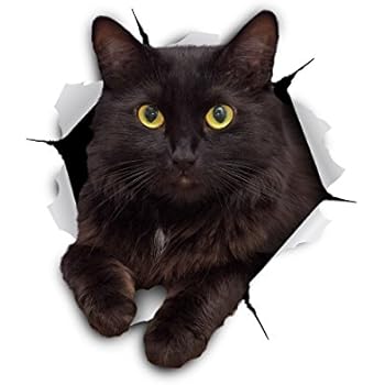 Winston Bear Autocollants Chat Muraux 3d Paquet De 2
