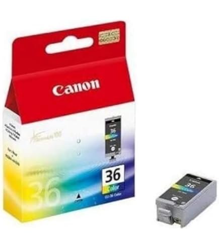 Lot De 2 Cartouches D'encre Noire Canon PGI-35 Originales – Pour Imprimante Pixma