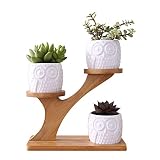 Contiene 3 macetas y 1 marco de madera sin plantas. Pequeñas macetas de cerámica - Perfectas para suculentas, hierbas y gatos.