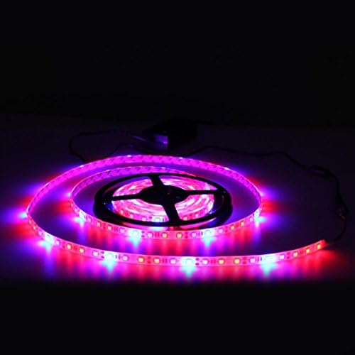 Led Light Belt 4: 1 60 Lights 5 Meters Not Waterproof And Waterproof With Power Supply Plant Organization To Cultivate, Fruit And Vegetable Cultivation Red And Blue Plant Grow Light Belt , Waterproof with power supply