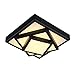 Produktbild LQUIDE Fernbedienung Dimmen Deckenstrahler deckenleuchte LED Rechteckige Deckenlampe Modern Einfaches r Wohnzimmer Studie Schlafzimmer Beleuchtung Schwarz Acryl Lampenschirm 20W 1400 Lumen 40 * 40cm