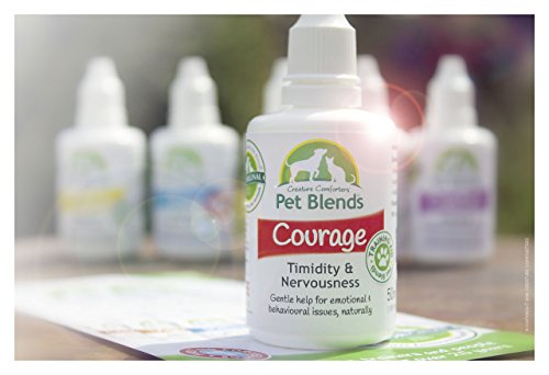 Pet-Remedy-for-Timid-Nervous-Submissive-Clingy-or-Over-sensitive-Animals-Natural-Confidence-for-Dogs-Cats-and-Horses-The-Original-Courage-Blend-Flower-Essence-50ml