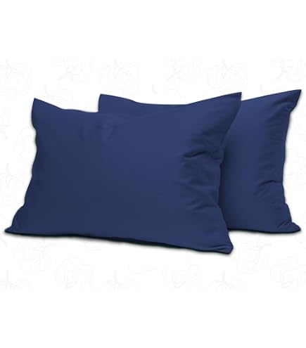 Lot De 2 Housses De Coussin Carrées 55x55 Cm - 100% Coton 300 Fils - Blanc - Fermeture éclair Cachée