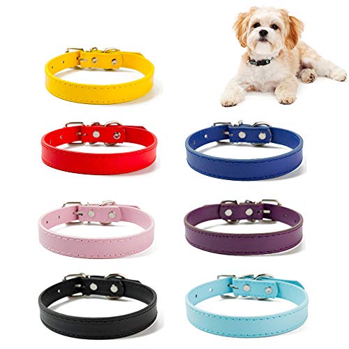HUI JIN Lot de 7 Colliers réglables en Cuir PU pour Chiens de Petite et Moyenne Taille
