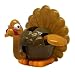 Produktbild Bada Bing Solar Wackel Figur Truthahn Turkey Thanksgiving Chicken Huhn Hahn