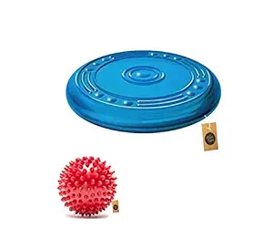 The Dogs Company, Rubber Spiked Ball Dog Chew Toy and Rubber Flyer Dog Toy
