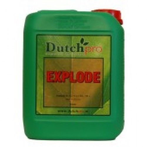 dutch pro explode 5 litre bloom stimulator bloom booster FREE 60ml MEASURING CUP