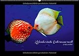 Kalendarische Unterwasserwelt (Wandkalender 2014 DIN A4 quer): Fantastisch-schöne Fische, nicht nur für Aquarianer (Monatskalender, 14 Seiten) by 
