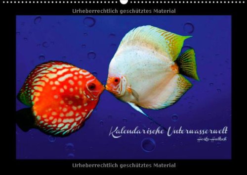 Kalendarische Unterwasserwelt (Wandkalender 2014 DIN A4 quer): Fantastisch-schöne Fische, nicht nur für Aquarianer (Monatskalender, 14 Seiten)