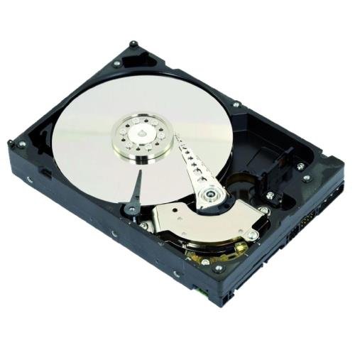 Intenso 6513113 - Disco duro de 3 TB (SATA III, 3.5