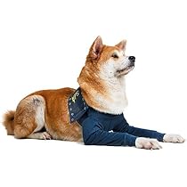 Hund Leckschutz Op Body Mit Beinen Liegeschwielen - Produktbild-Vorschau 6
