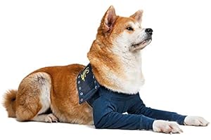 MPS Medical Pet Shirt TAZ2, Double Manches de Patte Avant pour Chiens, L