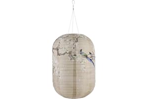 AZURAOKEY Lanternes solaires chinoises japonaises à suspendre pour l'extérieur