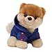 Produktbild Enesco 4034211 Gund Plüsch Itty Bitty Boo knuffiger Kuschelhund mit Jogging Anzug, 12,5 cm