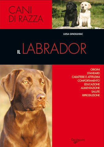 Il labrador Il labrador