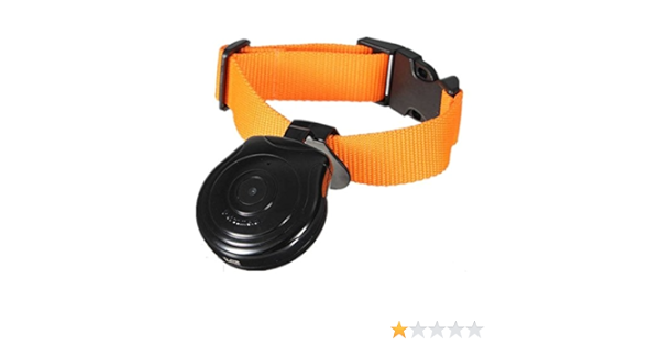 dog collar camera amazon